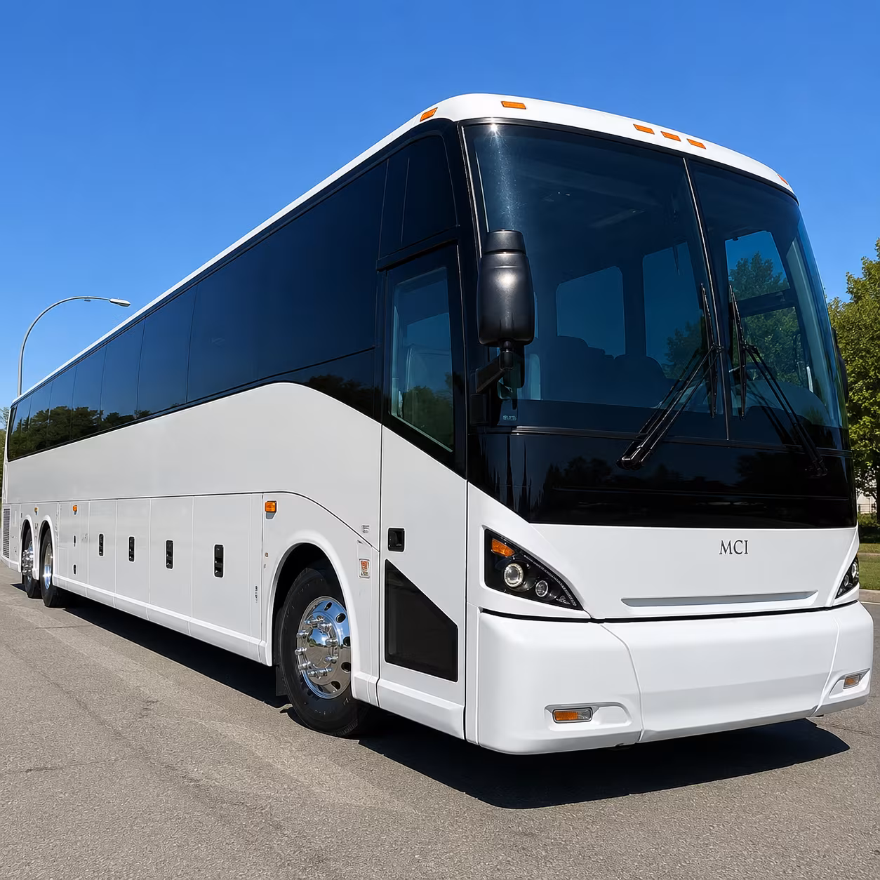 group bus rentals for uga gymnastics meets and stegeman sellouts