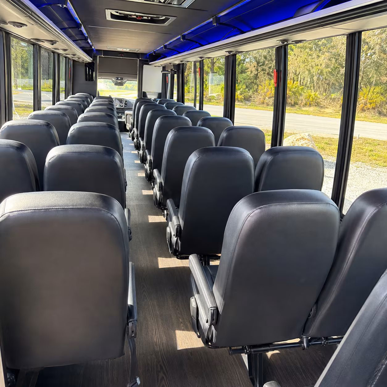 minibuses for athens nature and outdoor education trips